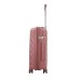 FL Discovery Golden Rose 21" PP/8W/TSA/Z-S/Exp.